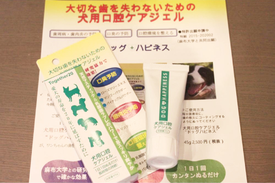 ドックハピネス